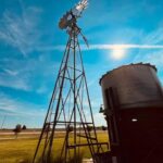 Why You Should Take Your Kids to the Fort Worth Stockyards